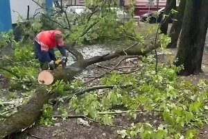 Коммунальщики оперативно занялись ликвидацией последствий непогоды в Москве