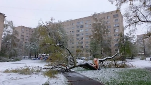  Бригады МЧС в Подмосковье ликвидируют последствия снегопада