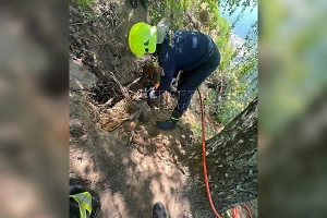 В Москве спасатели вытащили собаку, застрявшую в глубокой бобровой норе