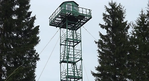 Труп стрелка найден у постовой вышки в российском регионе