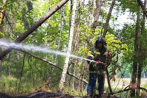 В Липецкой области удалось стабилизировать лесной пожар в заповеднике
