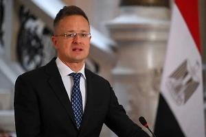 Сийярто посчитал фон дер Ляйен «шестёркой» Зеленского из-за опасного плана против России
