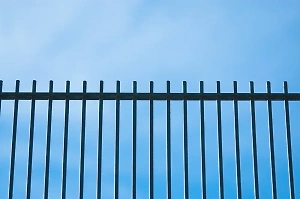 Труп женщины с застрявшей в заборе головой нашли в Нижегородской области