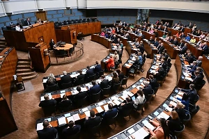 Парламент Финляндии проголосовал за выход из конвенции о противопехотных минах