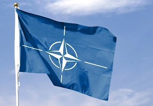 Ближе к краху, чем когда-либо: В США пророчат распад НАТО из-за политики Трампа
