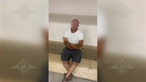 Швырнувший ребёнка об пол в Шереметьево неадекват воспитывает полуторагодовалую дочь