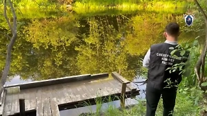 В Карелии пятилетняя девочка утонула в реке, поскользнувшись на берегу