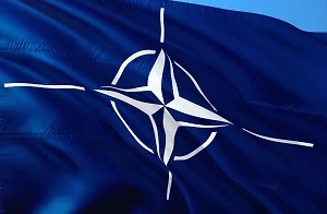 «Выстрел себе в ногу»: В США заявили, что НАТО разрушает стабильность в Европе