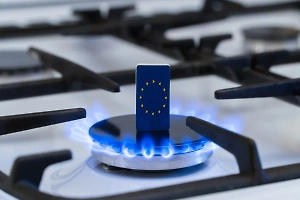 Санкции против России привели к взлёту цен на газ для ЕС в 2,5 раза