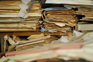 Под дворцом в Индии нашли уникальную библиотеку из 50 тысяч редких книг