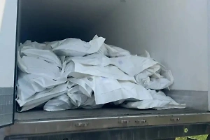 На Западе раскрыли реальную причину отказа Зеленского забирать тела солдат ВСУ
