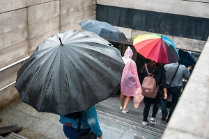 Life.ru узнал у химика, может ли кислота, выявленная в осадках по всему миру, вызвать бесплодие