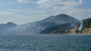 Площадь лесного пожара под Геленджиком после атаки БПЛА выросла до 32 га