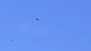 Погоню кукурузника за российским БПЛА в небе Одессы сняли на видео