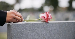 Установлена личность туристки, погибшей из-за падения дерева в Дербенте