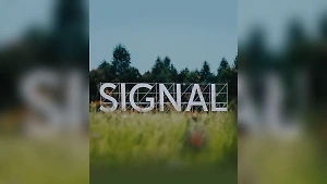 Фестиваль Signal перенесли из Калужской области в Москву ради безопасности