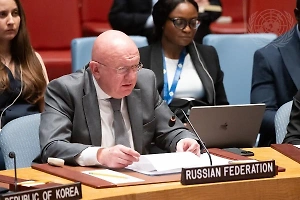 Небензя своими аргументами привёл польскую делегацию в бессильную ярость на Совбезе ООН
