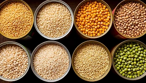 Россиянам рассказали, насколько опасны крупы «с лапками, глазками и усиками»