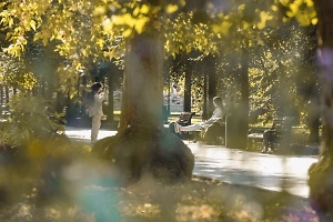 Когда в Москве на смену «золотому лету» придёт золотая осень: прогноз синоптиков