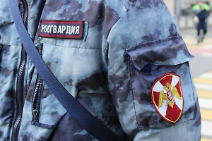 Двое росгвардейцев погибли при взрыве на железной дороге в Орловской области