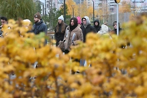 Осень наступает: Первые заморозки пришли в Подмосковье