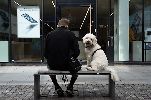 С питомцами нельзя: В Госдуме предложили запретить вход с собаками в магазины и аптеки