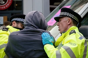 Полиция Лондона задержала свыше 400 участников пропалестинской акции