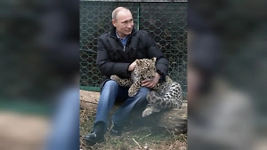 Дмитриев выложил фото леопарда Грома на коленях у Путина за секунду до броска на оператора
