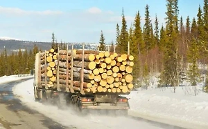 Смертельное ДТП с автобусом и лесовозом произошло в Ленобласти