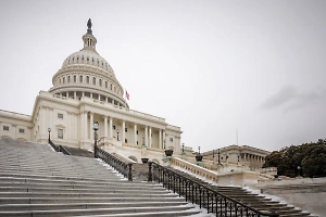 Помощник сенатора США оправдался после увольнения за гей-порно в Капитолии