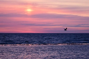 Шойгу: В акватории Азовского моря создан военно-морской район