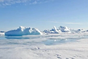 Косачёв: Мир вправе не признавать новые границы США на континентальном шельфе