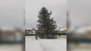 "Пизанская" ёлка поставила жителей российского города по разные стороны баррикад