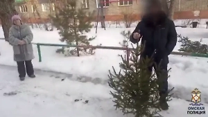 Житель Омска украл ёлку для любимой и прятал от полиции в ванной