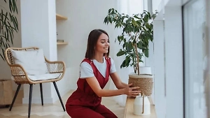 5 комнатных растений, помогающих похудеть своей чудо-энергетикой