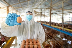 Предприятия – участники СЭЗ обеспечат работой более 46 тысяч жителей новых регионов