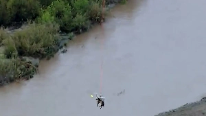 Полёт коня на вертолёте попал на видео