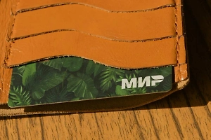 В Киргизии назвали временной приостановку обслуживания российских карт "Мир"