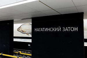 Москвичи назвали самые красивые новые станции метро