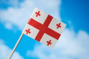 Пушков назвал главного иноагента в Грузии