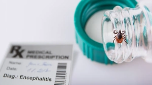 Пенсионерка умерла от укуса клеща в Свердловской области