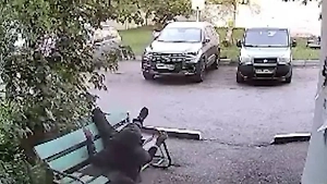 В Башкирии "акробат" выпал из окна на скамейку, встал и ушёл с эффектным рёвом