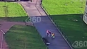 На россиянку с ребёнком напал "Добби" и потребовал носок