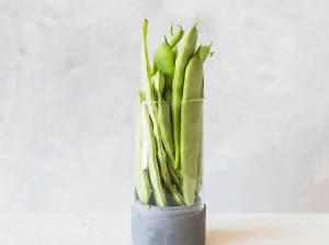 Диетолог рассказала о вреде и пользе спаржи