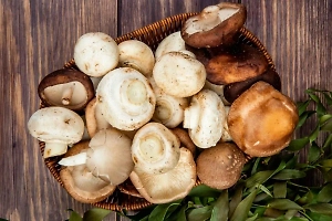 Врач рассказала, как спасти человека при грибном отравлении