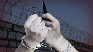 Кто проносит в СИЗО и колонии запрещёнку и сколько это стоит