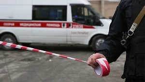 В Подмосковье рухнувшее от ветра дерево убило 10-летнего ребёнка и мужчину