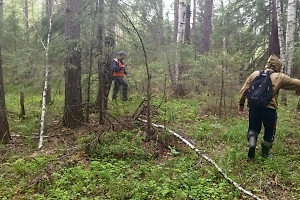 Потерявшихся в лесу на Урале детей нашли в 60 километрах от места пропажи