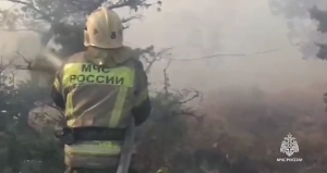 Лесной пожар в заказнике под Новороссийском потушили