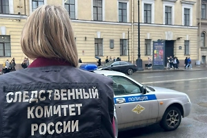 СК РФ завёл дело о хулиганстве после стрельбы на севере Санкт-Петербурга